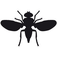 Технология Alumafly Core компании Burton сезона 2010/2011