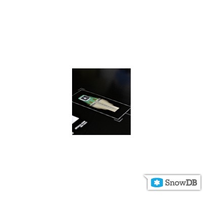 Технология KERS Technology компании Head сезона 2011/2012